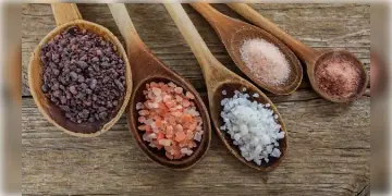 Read more about - Different Type of Salt | রান্নায় কেবল সাদা লবণই নয়, ব্যবহার করুন নীল-লাল-গোলাপি লবণও! জানুন বাজারে বিভিন্ন রকমের নুন সম্পর্কে!