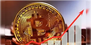 Read more about - Bitcoin Price | ট্রাম্পের জয়ে উর্ধ্বমুখী বিটকয়েনের মূল্য! ছুঁয়ে ফেললো ৯০ হাজার মার্কিন ডলারের গন্ডি