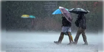 Read more about - WB Weather | বৃষ্টির পরিমাণ বাড়তে চলায় কলকাতা-সহ দক্ষিণবঙ্গে কমবে তাপমাত্রা! উত্তরবঙ্গে ভূমিধস ও প্লাবনের আশঙ্কা!