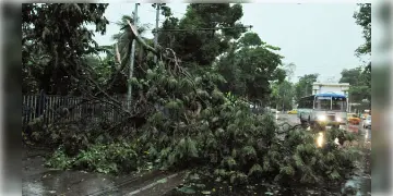 Read more about - আজও রয়েছে কালবৈশাখীর পূর্বাভাস, আগামী মঙ্গলবার পর্যন্ত ৫০ কিমি বেগে ঝড় হতে পারে এই জেলাগুলিতে