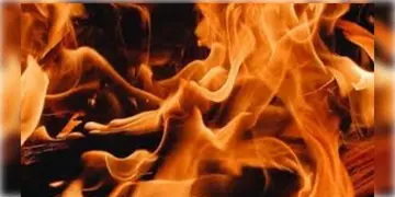 Read more about - Bolepur Multi Storey Building | বোলপুরে বহুতলে দাউ দাউ করে জ্বলছে আগুন, মৃত কমপক্ষে ২, আহত ৫, চলছে উদ্ধারকার্য