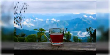 Read more about - Offbeat Places Near Darjeeling | সোনালী সকালে হিমালয়ের একাধিক শৃঙ্গচূড়া দেখতে পাবেন দাওয়াইপানি-তে!