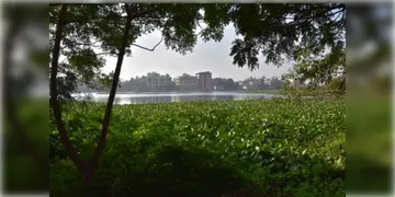 Read more about - Santragachi Lake । শীতের মুখেও পরিযায়ী পাখির দেখা নেই সাঁতরাগাছি ঝিলে, চিন্তায় স্থানীয়রা