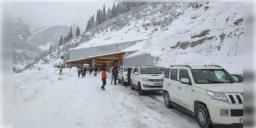 Read more about - Sikkim | সিকিমে তীব্র তুষারপাত, ছাঙ্গু ও নাথুলায় আটকে পর্যটক বোঝাই কয়েকশো গাড়ি!