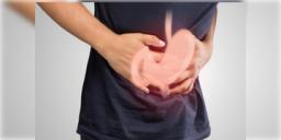 Read more about - Stomach Problem | বিশ্বের ৪০ শতাংশের বেশি মানুষই ভুগছেন পেটের সমস্যায়! GDP-হ্যাপিনেস স্কোরকেও 'কারণ' বলছেন চিকিৎসকরা