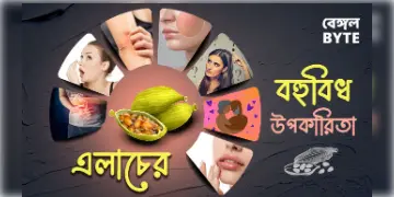 Read more about - এলাচের বিবিধ গুণাগুণ | Miscellaneous properties of cardamom