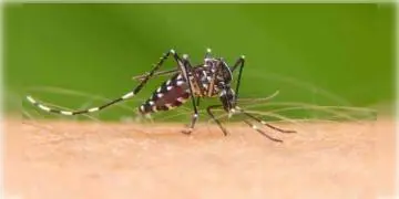 Read more about - ডেঙ্গি রোধ করতে 'হু'-র ‘কামান’ সাইক্লোপডিয়া, অপেক্ষা শুধু রাজ্যে প্রয়োগের