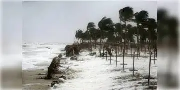 Read more about - তামিলনাড়ুতে কড়া সতর্কতা, ধেয়ে আসছে ঘূর্ণিঝড় বুরেভি, তৈরি বিপর্যয় মোকাবিলা বাহিনী !