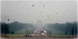 Read more about - Delhi | দিওয়ালিতেও দূষণ থেকে নিষ্কৃতি নেই রাজধানী দিল্লির, বাতাসের মান পৌঁছেছে ‘অতি খারাপ’ পর্যায়ে!