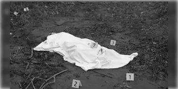 Read more about - Amdanga | চাষের জমি থেকে উদ্ধার মহিলার অর্ধনগ্ন আধপোড়া দেহ! বাইরে থেকে দেহ এনে ফেলা হয়েছে বলে সন্দেহ!