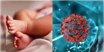 Read more about - HMPV | একজন নয়, HMPVতে আক্রান্ত ভারতের দুটি শিশু! কারোরই নেই বিদেশ ভ্রমণের ইতিহাস! কীভাবে শরীরে এলো চিনা ভাইরাস?