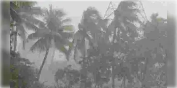 Read more about - ঘূর্ণিঝড়ে পরিণত হতে পারে নিম্নচাপ! সুন্দরবন উপকূলে চরম সতর্কবার্তা প্রচার পুলিশের