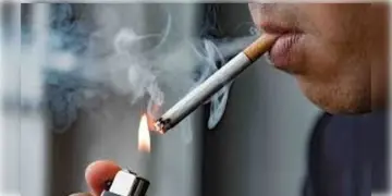 Read more about - Tobacco Ban | ২১ বছরের কমবয়সীদের সিগারেট বেচলেই টানতে হবে জেলের ঘানি! নির্দেশিকা জারি কর্ণাটক সরকারের