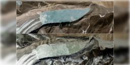 Read more about - Sikkim Flood | সিকিমের শিরে সংক্রান্তি! ভয়াবহ বন্যা পরিস্থিতি, ধসের আশঙ্কা, বিপর্যস্ত জনজীবন