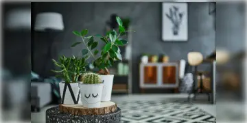 Read more about - Summer Plants | গরমে ঘরে যেন জ্বলছে আগুন! আবহওয়া শীতল করতে এসি নয়, লাগান গাছ! গরমে ঘর ঠান্ডা রাখতে সাহায্য করে এই গাছগুলো!