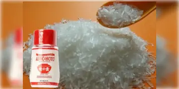Read more about - Ajinomoto | রক্তচাপ, সুগার, থাইরয়েড, হৃদরোগ-সহ একাধিক রোগ ডেকে আনে এই 'নীরব ঘাতক' মশলা! কী কী ক্ষতি করে আজিনামটো?