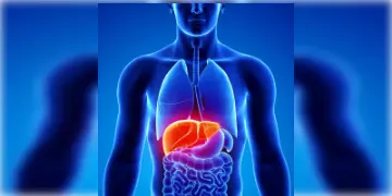 Read more about - লিভার সিরোসিস কীভাবে আপনার যকৃতে বাসা বাঁধে তা জেনে নিন