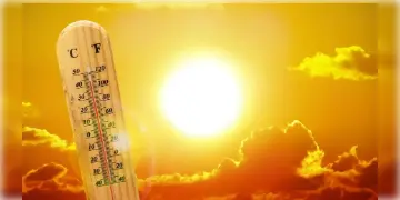 Read more about - WB Weather | নতুন মাস শুরুতেই তাপপ্রবাহের সতর্কতা! তীব্র গরম বাড়ার আগে দক্ষিণবঙ্গের একাধিক জেলায় কয়েক পশলা বৃষ্টির পূর্বাভাস!