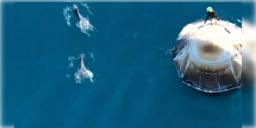 Read more about - Sunita Williams Returns | সুনীতাদের পৃথিবীতে স্বাগত জানাতে এলো একদল ডলফিন! ভাইরাল মনমুগ্ধ করা ভিডিও!