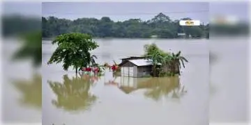 Read more about - বৃষ্টির জেরে ভয়াবহ বন্যা নেপাল ও ভুটানে, বন্যার কোপে মৃত ১০, নিখোঁজ ৭জন