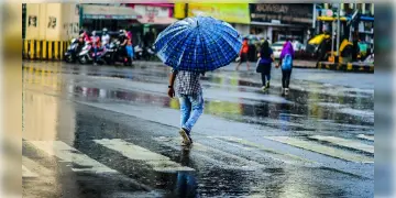 Read more about - Weather | হলুদ সতর্কতা দক্ষিণবঙ্গে! বঙ্গোপসাগরে নিম্নচাপ, ঘূর্ণাবর্তের জেরে বেশ কয়েকদিন বৃষ্টিতে ভিজবে বঙ্গ!