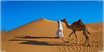 Read more about - Saudi Arabia | ৯৫ শতাংশ এলাকা বালির মরুভূমি হওয়া সত্ত্বেও কেন অন্য দেশ থেকে বালি আমদানি করে সৌদি আরব?