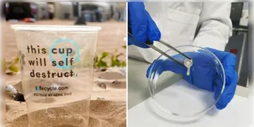 Read more about - Self-Digesting Plastic | প্লাস্টিক দূষণ কমাতে অভিনব আবিষ্কার,  ‘সেলফ ডাইজেস্টিং প্লাস্টিক’ নিজে নিজেই হবে ধ্বংস