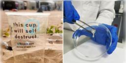 Read more about - Self-Digesting Plastic | প্লাস্টিক দূষণ কমাতে অভিনব আবিষ্কার, ‘সেলফ ডাইজেস্টিং প্লাস্টিক’ নিজে নিজেই হবে ধ্বংস