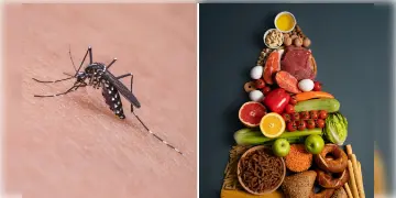 Read more about - Home Remedies for Dengue | ডেঙ্গু জ্বরে আক্রান্ত হয়ে বাড়িতে করছেন চিকিৎসা? ডায়েটে রাখুন এই খাবার! পুজোর আগেই হয়ে উঠবেন সুস্থ্য!