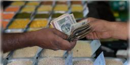 Read more about - Monthly Household Expenses | মাসিক খরচের নিরিখে জাতীয় গড় থেকে অনেকটা পিছিয়ে বাংলা! শিক্ষা ক্ষেত্রের চেয়ে পান,তামাক-সহ অন্যান্য নেশাদ্রব্যে ব্যয় বেশি!