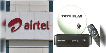 Read more about - Airtel Digital-Tata Play | মিশে যাবে টাটা প্লে ও এয়ারটেল ডিজিটাল টিভি! কোন সংস্থা পাবে কত অংশীদারিত্ব?