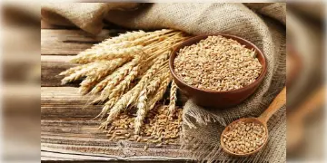 Read more about - PMGKAY | জানুয়ারির পরিবর্তে রেশন পাওয়া যাবে ফেব্রুয়ারি মাসে!