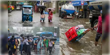 Read more about - Kolkata | রাতভর বৃষ্টিতে জলমগ্ন পুজোর শহর, বিদ্যুৎস্পৃষ্ট হয়ে মৃত কমপক্ষে ৭