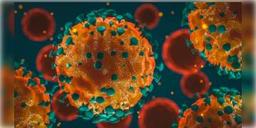 Read more about - করোনার ডেল্টা প্রজাতিকে নিয়ে আতঙ্ক বাড়ছে মার্কিন মুলুকে