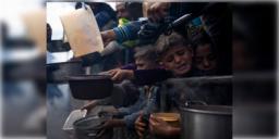 Read more about - Gaza | তীব্র খাদ্য সংকটে গাজা! ইজরায়েলের হামলায় ধ্বংস ৫৭ শতাংশ কৃষিজমি!