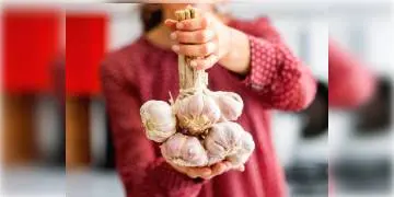 Read more about - স্বাস্থ্য ভালো রাখার পাশাপাশি বেশিদিন যৌবন বজায়  রাখতে ও উজ্জ্বল ত্বক পেতে ব্যবহার করুন রসুন !