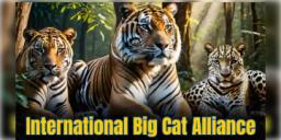 Read more about - Big Cat Alliance | বাঘ-সিংহ সংরক্ষণে সারা বিশ্বকে নেতৃত্ব দিতে চলেছে দেশ! ভারত সরকারের বড় পদক্ষেপ - বিগ ক্যাট অ্যালায়েন্স!