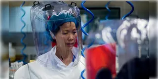 Read more about - Covid | করোনার আঁতুড়ঘর চিনে মিললো নয়া মারণ ভাইরাস, আবার হতে পারে লকডাউন!