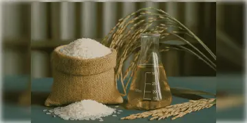 Read more about - E20 | এবার চাল দিয়ে চলবে গাড়ি! ৫.২ মিলিয়ন মেট্রিক টন চাল বরাদ্দ করছে ফুড কর্পোরেশন অফ ইন্ডিয়া!