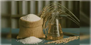 Read more about - E20 | এবার চাল দিয়ে চলবে গাড়ি! ৫.২ মিলিয়ন মেট্রিক টন চাল বরাদ্দ করছে ফুড কর্পোরেশন অফ ইন্ডিয়া!