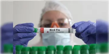 Read more about - Bird Flu Vaccine | বিশ্বে প্রথম বার্ড ফ্লুয়ের হিউম্যান ভ্যাকসিন দেবে ফিনল্যান্ড! ১৫টি দেশের জন্য  তৈরী হয়েছে ৪ কোটি ডোজ় প্রতিষেধক!