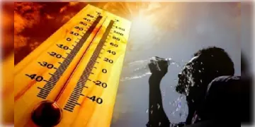 Read more about - West Bengal Weather | প্রচন্ড গরমের মধ্যেই তাপপ্রবাহের 'লাল' সতর্কতা! আগামী তিন দিনে ৪ ডিগ্রি সেলসিয়াস পর্যন্ত বাড়বে তাপমাত্রা!