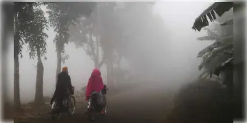 Read more about - West Bengal Weather | চলতি মরশুমের 'শীতলতম দিন' কলকাতায়! রাজ্যজুড়ে কমছে সর্বনিম্ন তাপমাত্রা! কতদিন শীত উপভোগ করতে পারবে রাজ্যবাসী?