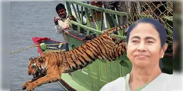 Read more about - WB CM: ম্যানগ্রোভে ‘কোপ’, মুখ্যমন্ত্রী আনুষ্ঠানিকভাবে দুটি নতুন জেলার ঘোষণা করতে চলেছেন