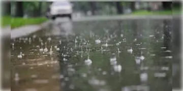 Read more about - বজ্রবিদ্যুৎ-সহ বৃষ্টি হতে পারে কিছুক্ষণের মধ্যেই, পূর্বাভাস দিল আলিপুর আবহাওয়া দফতর