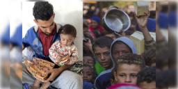 Read more about - Gaza-Parle G | ৫ টাকার পার্লে-জি বিস্কুট বিক্রি হচ্ছে ২৪০০ টাকায়! ভাইরাল যুদ্ধবিধ্বস্ত গাজার ভয়াবহ ভিডিও!