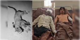 Read more about - Gujarat | জীবন বাজি রেখে বাঘের মুখ থেকে ছেলেকে উদ্ধার বৃদ্ধ-র! গুজরাটের ঘটনায় চাঞ্চল্য