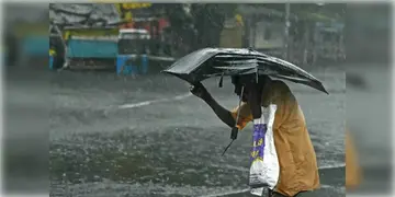 Read more about - Weather Update | 'মান্থা’র প্রভাবে সাতসকালেই একপশলা বৃষ্টি মহানগরে, একনজরে আজকের আবহাওয়া আপডেট