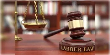 Read more about - নয়া ওয়েজ কোডে বড়সড় পরিবর্তন কেন্দ্রীয় সরকারের! সময় থেকে বেতন, সবকিছুরই পরিবর্তন