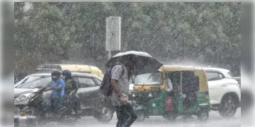 Read more about - ভারী থেকে অতিভারী বৃষ্টি ধেয়ে আসছে! স্বাধীনতা দিবসে কোন কোন জেলায় রেড এলার্ট জারি করা হয়েছে জানুন